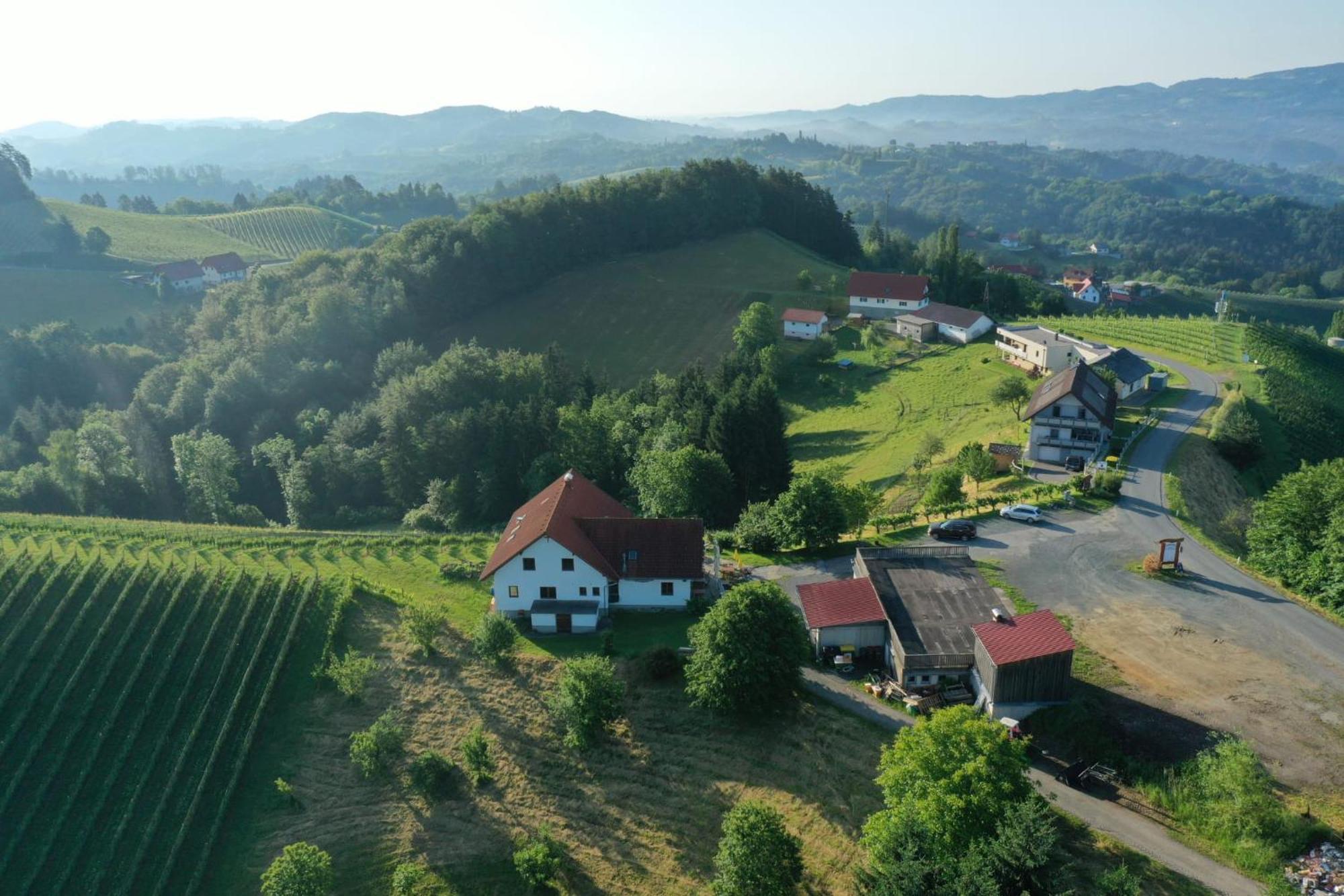 Trautenburg Stub'N ليوتسشاخ المظهر الخارجي الصورة